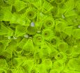 Post title